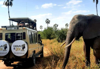 5-Day Tanzania Safari Getaway