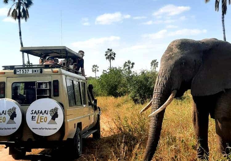 5-Day Tanzania Safari Getaway