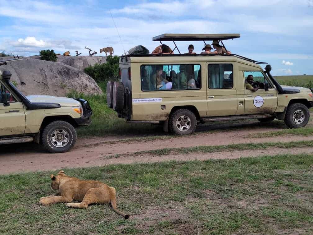 5-Day Exclusive Private Safari Adventure