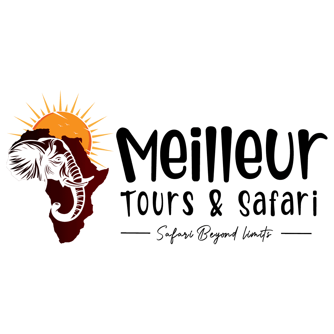 Meilleur Tours and Safaris