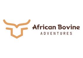 African Bovine Adventures