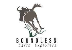 Boundless Earth Explorers