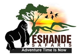 Eshande Safaris