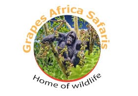 Grapes Africa Safaris