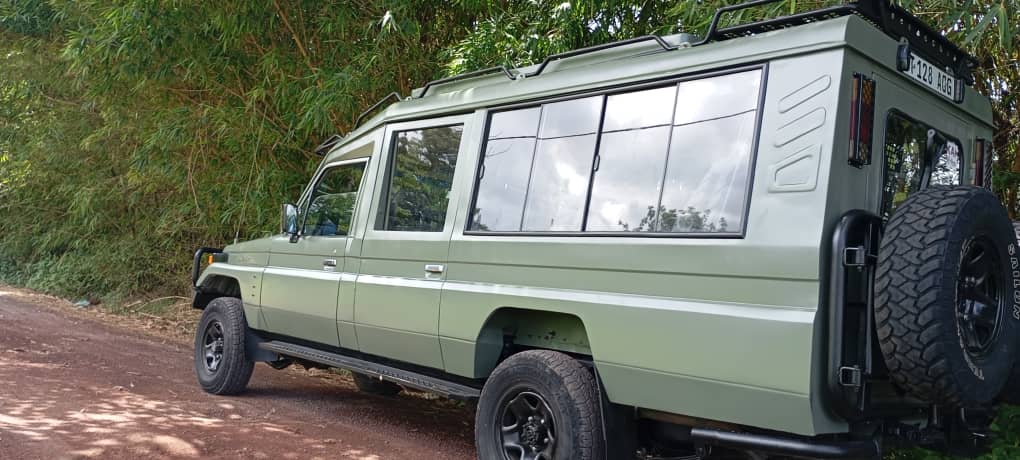 7-Day Big Five Safari Adventure: Wild Tanzania