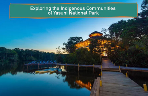 Exploring the Indigenous Communities of Yasuni National Park