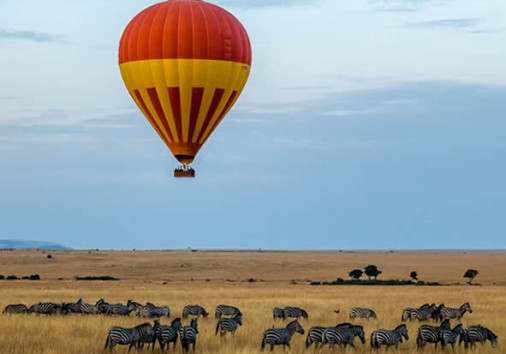 Excellent Ballon Safari