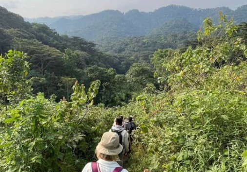 Hiking Bwinid For Gorillas