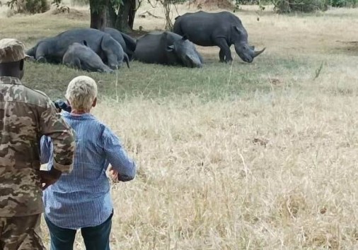 Zziwa White Rhinos Sanctuary
