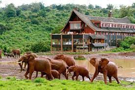 7 Days Samburu, Aberdares, Lake Nakuru & Masai Mara Safari