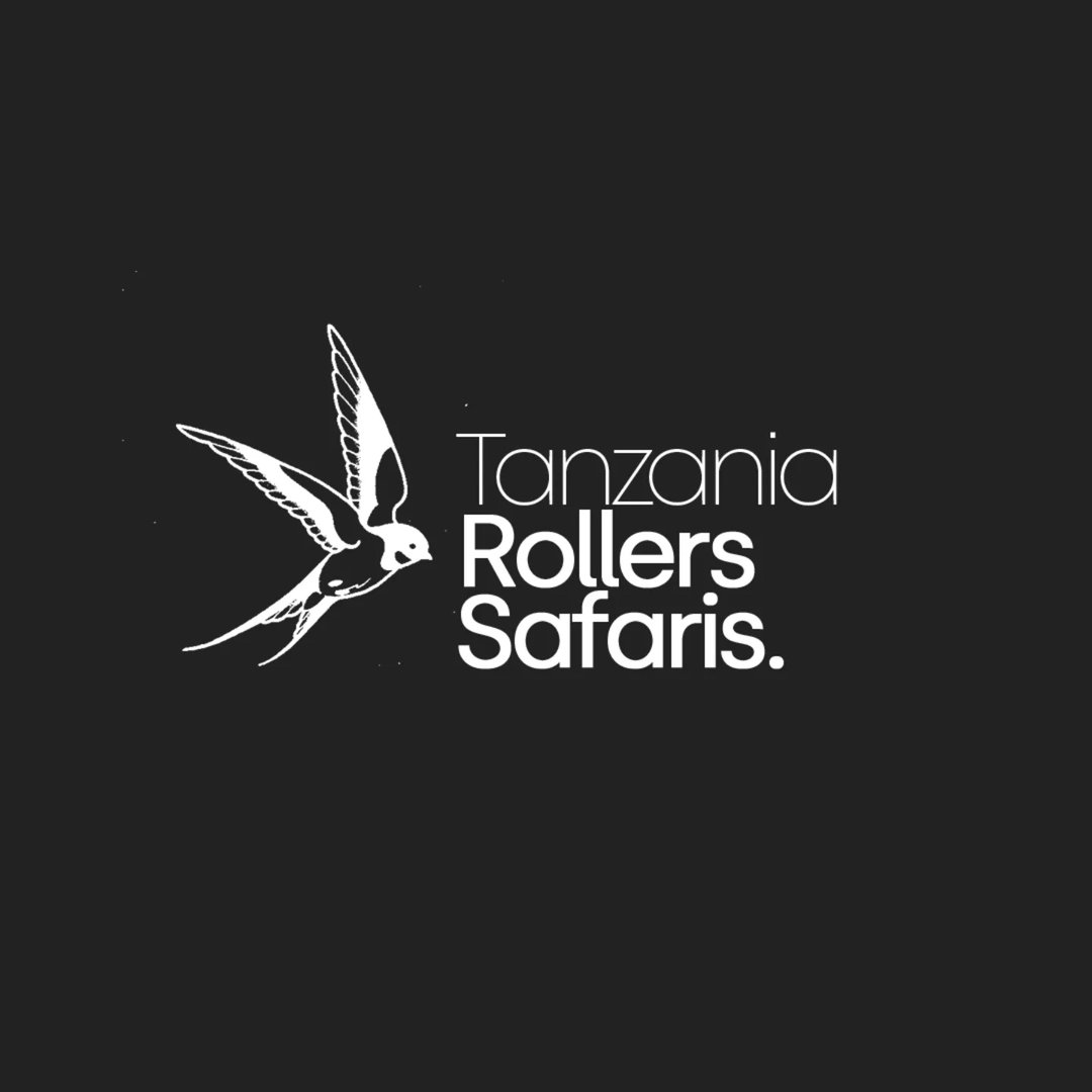 Tanzania Rollers Safari