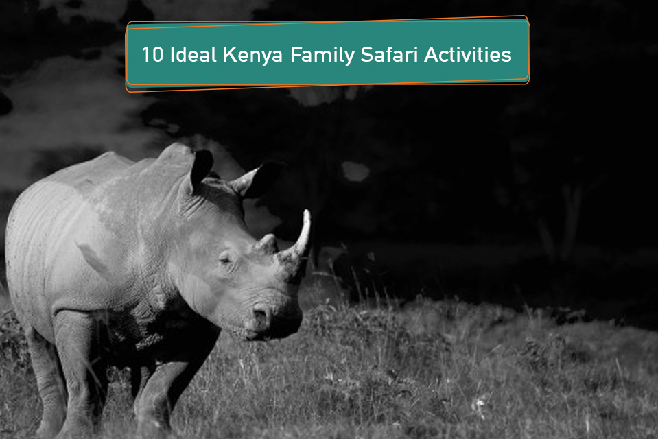 10 Ideal Kenya Family Safari Activities