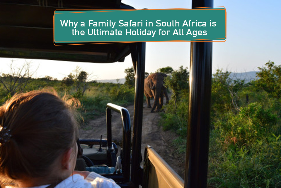 Why a Family Safari in South Africa Is the Ultimate Holiday for All Ages