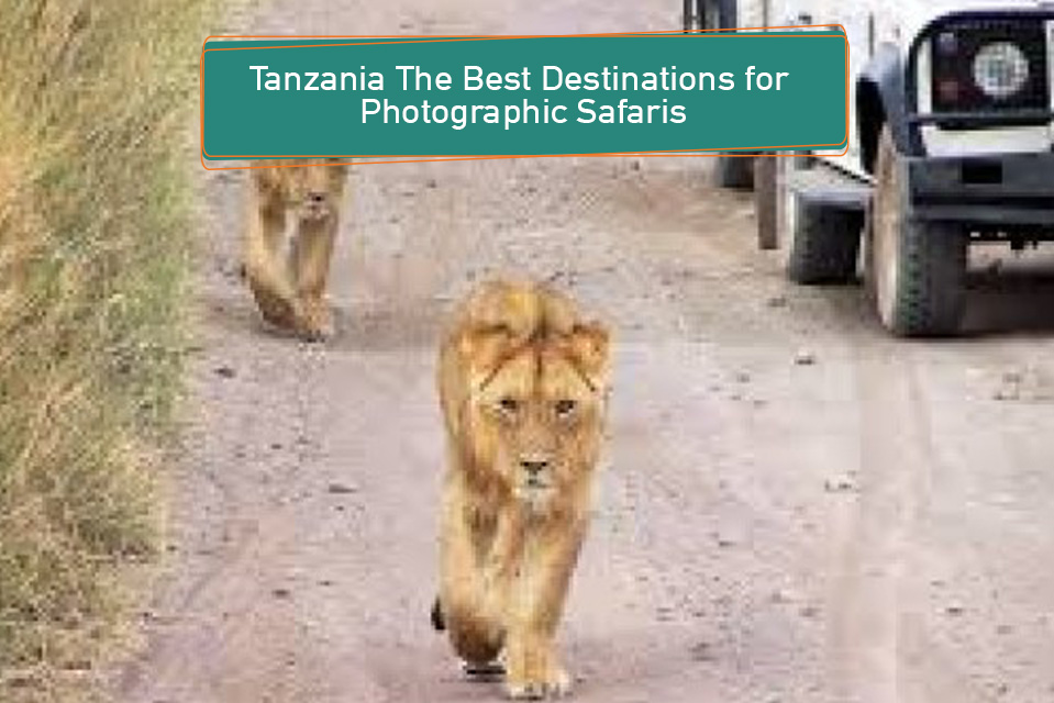 Tanzania The Best Destinations for Photographic Safaris
