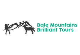 Bale Mountains Brilliant Tours