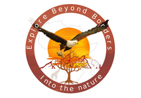 Explore Beyond Borders