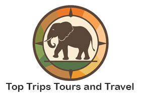 Top Trips Tours and Travel