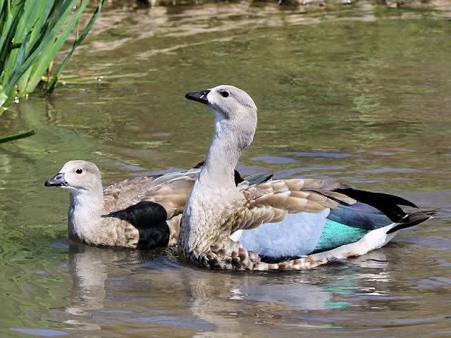 Fb Img 1749133700430