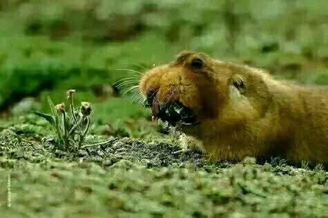 Fb Img 1753286726695