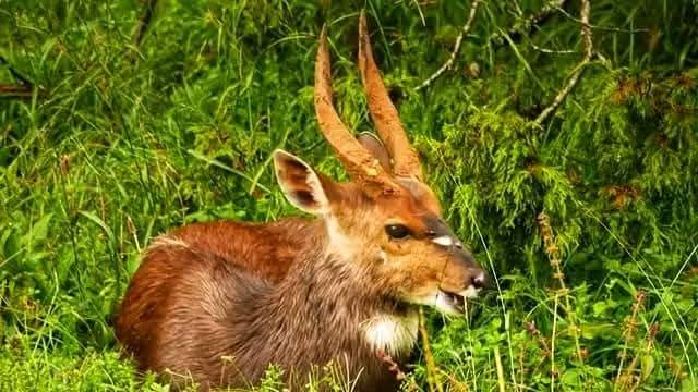 Fb Img 1753286740080