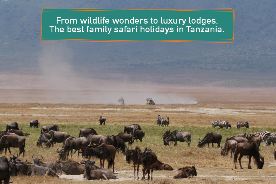 The Best Family Safari Holidays in Tanzania