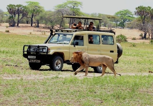 2-Day Mikumi Wildlife Safari by Train