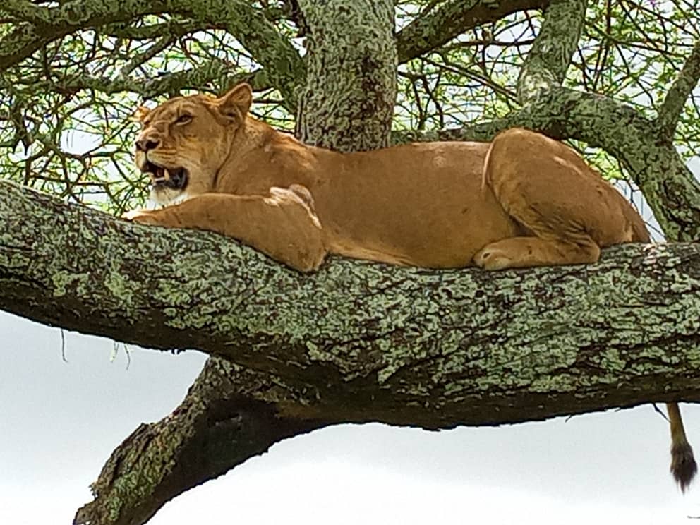 Whatsapp Image 2025 08 10 At 14.55.31 Copy