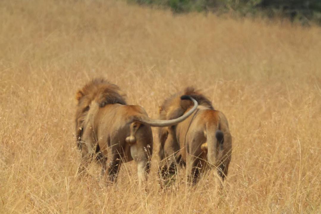 Whatsapp Image 2025 08 11 At 08.1 Copy