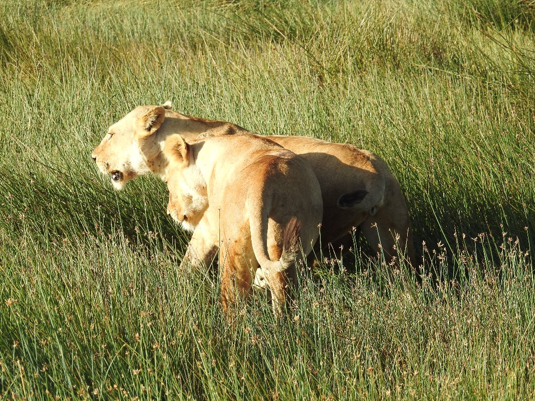 Whatsapp Image 2025 08 11 At 14.09.39 (1)