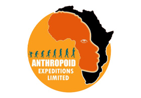 Anthropoid Expeditions