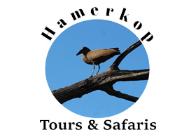 Hamerkop Tours & Safaris