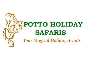 Potto Holiday Safaris