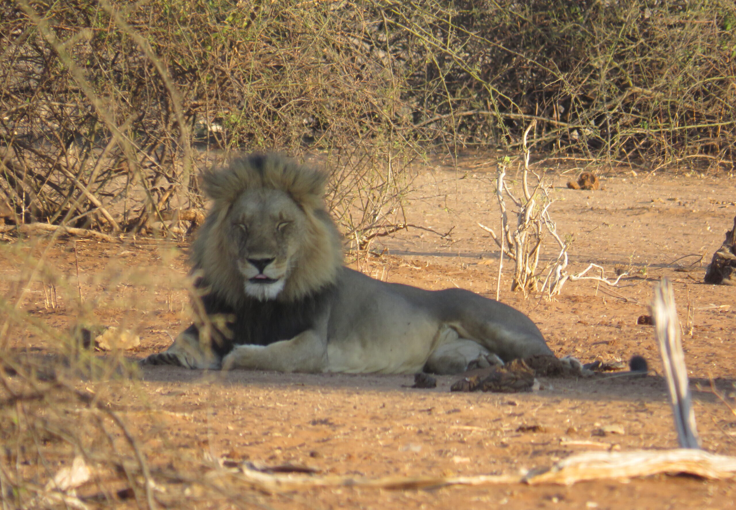 6-Day Desert and Pan Explorer Safari