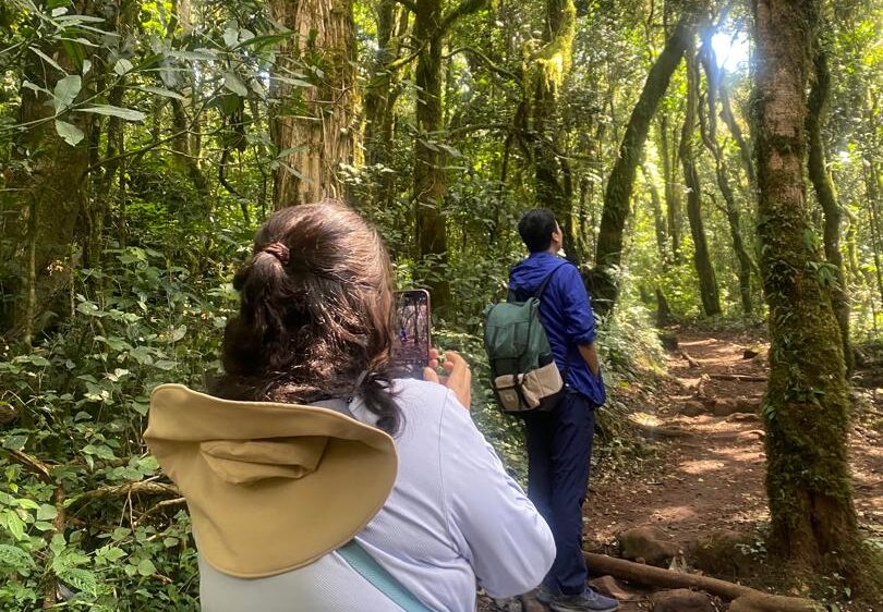 1-Day Kilimanjaro Marangu Day Trip