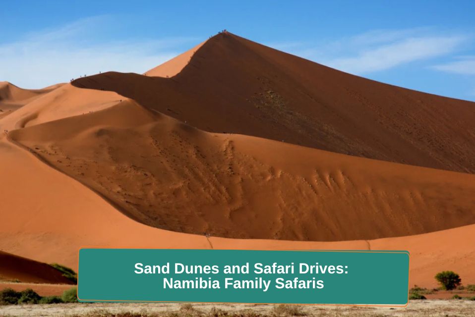 Sand Dunes and Safari Drives: Namibia Family Safaris