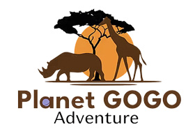 Planet Gogo Adventure