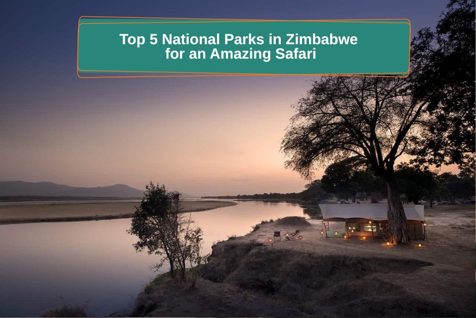 Top 5 National Parks for a Family Safari in Zimbabwe