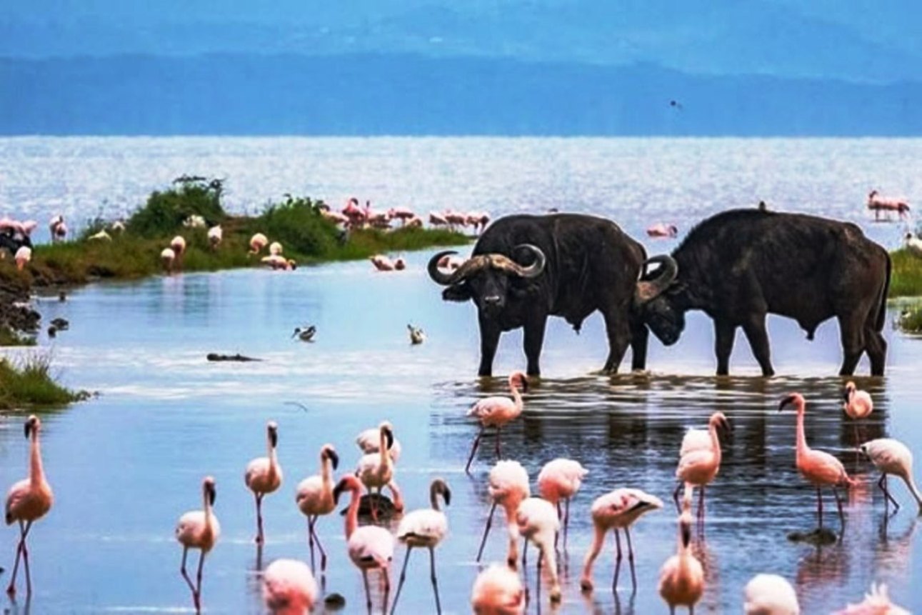 Lake Nakuru National Park