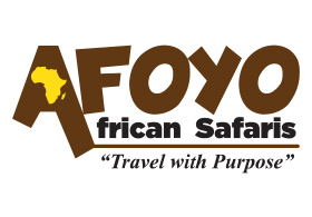Afoyo African Safaris