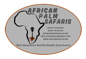African Palm Safaris