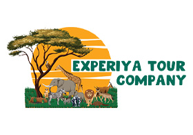 Experiya Tour Company