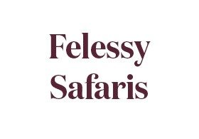 Felessy Tours and Safaris