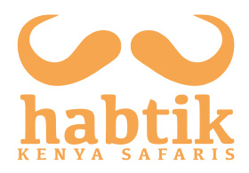 Habtik Safaris