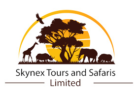 Skynex Tours and Travel