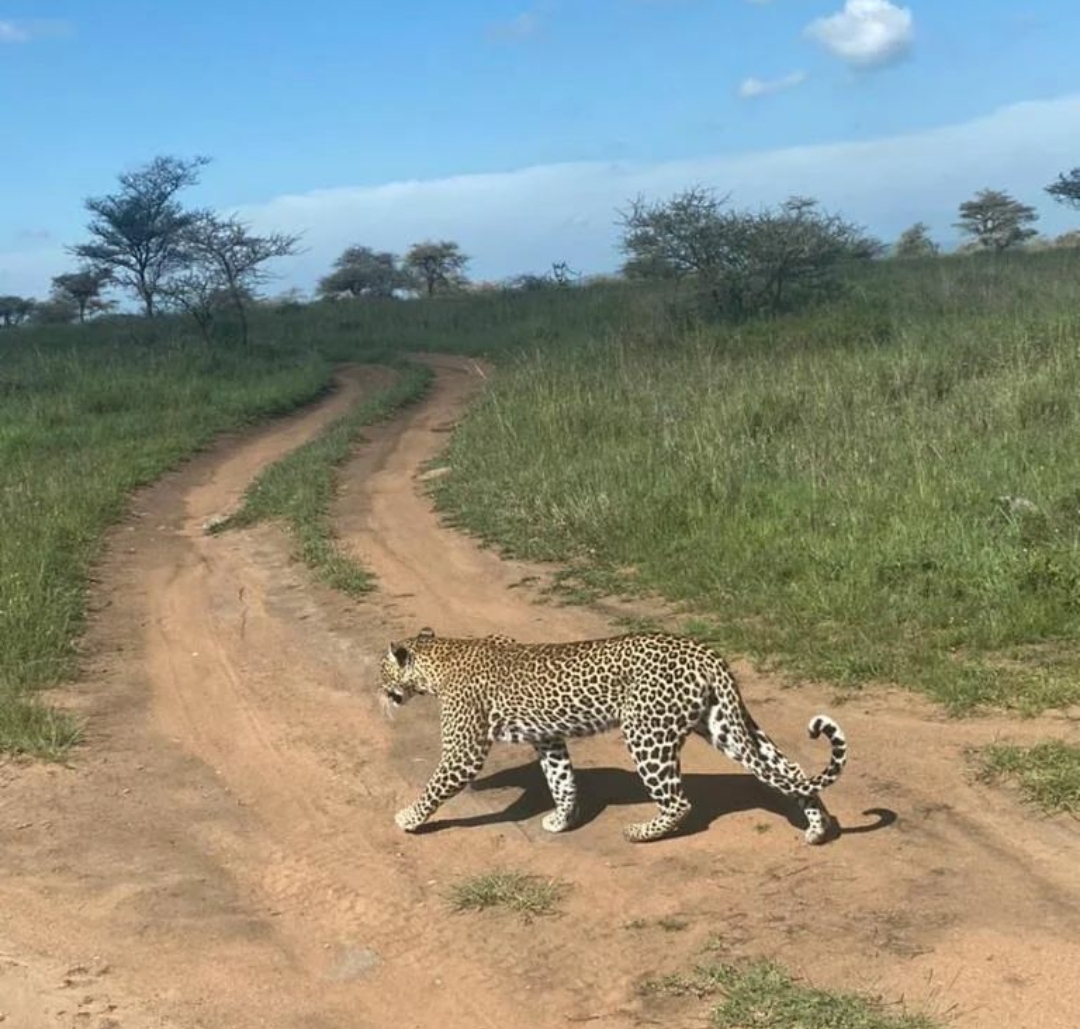 Whatsapp Image 2025 11 12 At 12.18.37 Am (1)