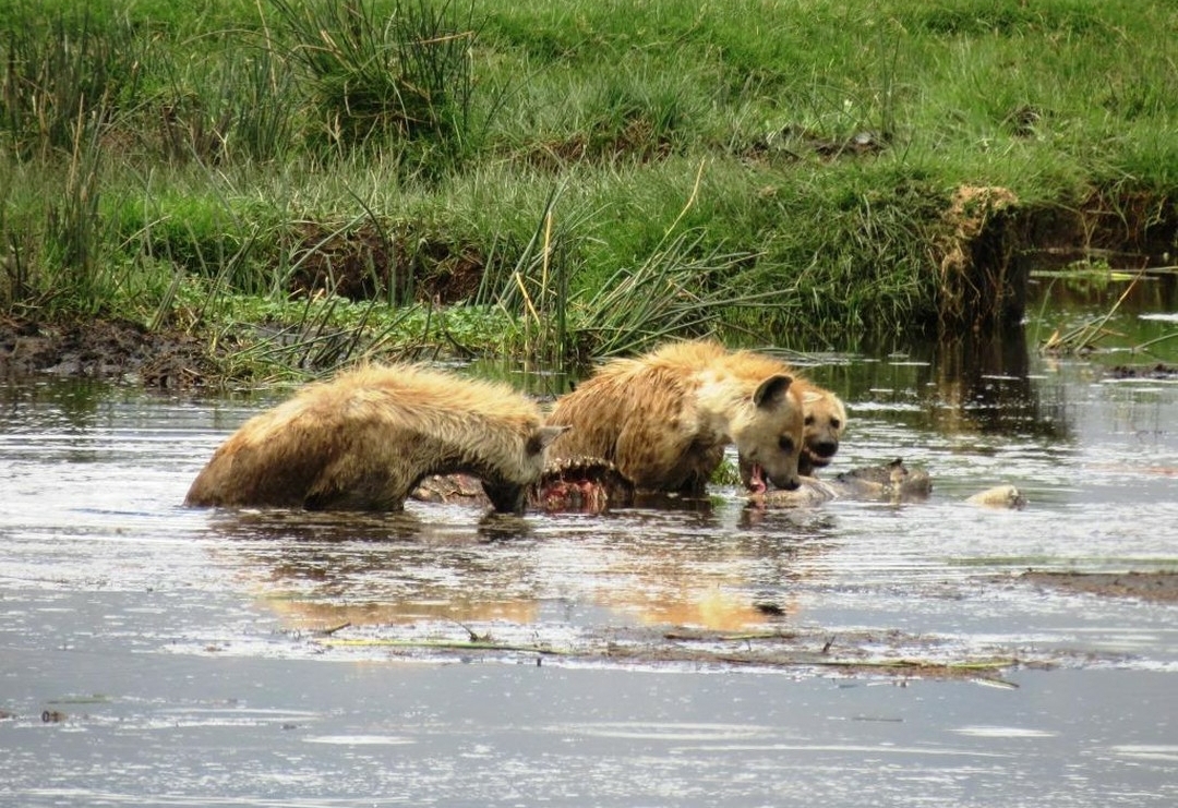 Whatsapp Image 2025 11 12 At 12.18.37 Am (10)