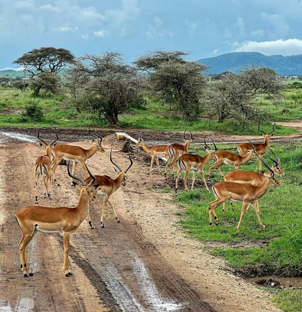 Whatsapp Image 2025 11 12 At 12.18.37 Am (14)