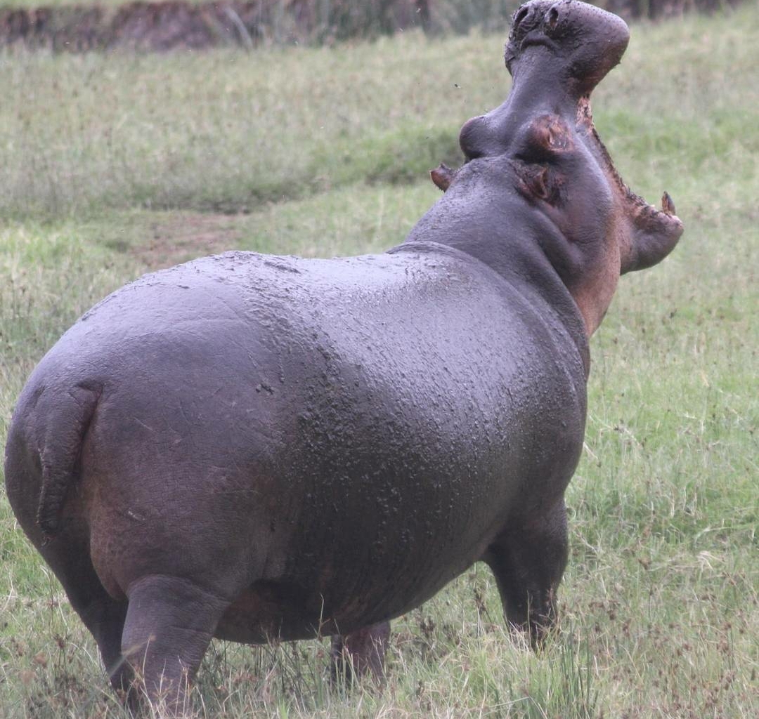 Whatsapp Image 2025 11 12 At 12.18.37 Am (3)