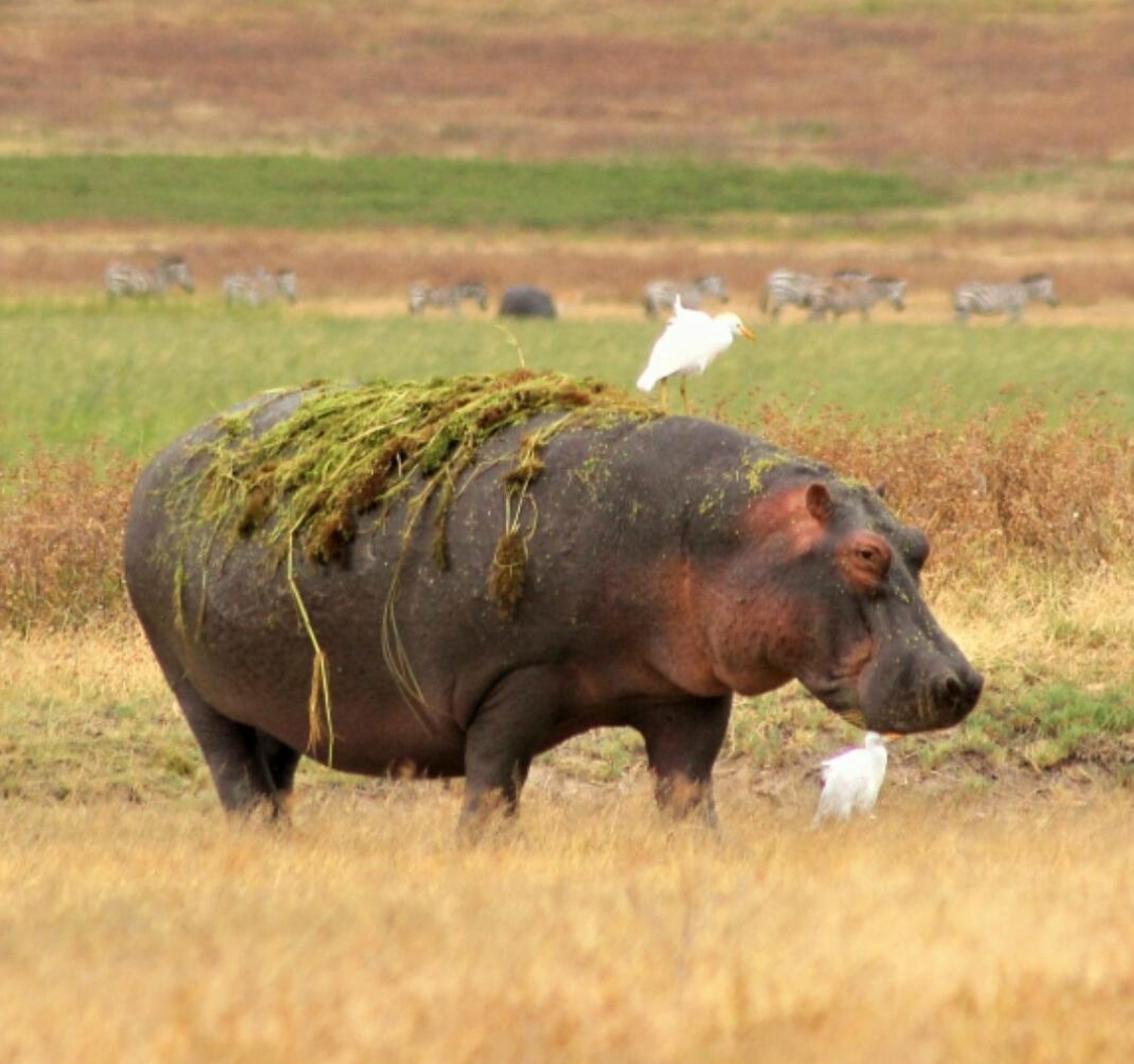 Whatsapp Image 2025 11 12 At 12.18.37 Am (4)