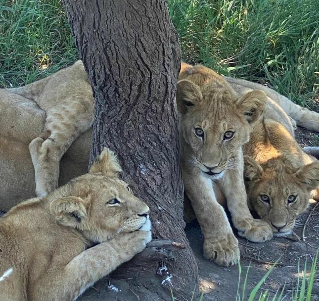 Whatsapp Image 2025 11 12 At 12.18.37 Am (5)